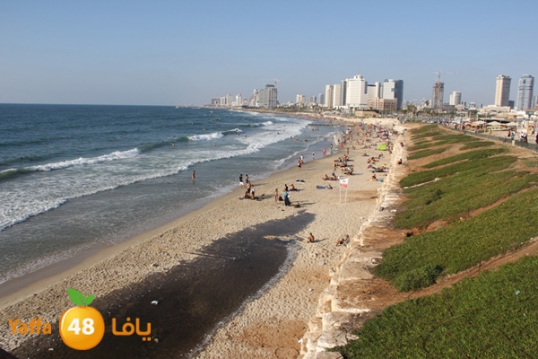 nakhom goldman majary (7).JPG